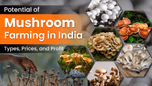 Potential of Mushroom Farming in India: Types, Prices, and Profit Article