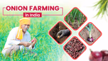 Onion Farming in India: A Profitable Horticulture Crop to Grow in India Article