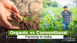 Organic vs Conventional Farming in India: Key Differences, Benefits, and Challenges Article