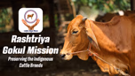 Rashtriya Gokul Mission - Preserving the Indigenous Cattle Breeds Article Rashtriya Gokul Mission - Preserving the Indigenous Cattle Breeds Article