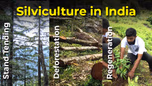 Silviculture in India: Types, Importance and Objective Article