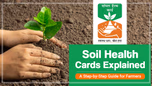 Soil Health Cards Explained: A Step-by-Step Guide for Farmers Article