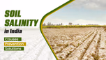 Soil Salinity in India: Causes, Prevention and Solutions Article
