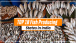 Top 10 Fish Producing States in India Article Top 10 Fish Producing States in India Article
