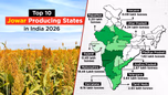 Top 10 Jowar Producing States in India 2026 Article