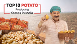 Top 10 Potato Producing States in 2025 Article