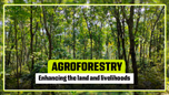 Role of Agroforestry in Enhancing Land and Livelihoods Article Role of Agroforestry in Enhancing Land and Livelihoods Article
