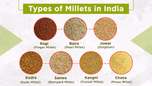 Types of Millets in India – Status, Importance & Top Millet-Producing States Article Types of Millets in India – Status, Importance & Top Millet-Producing States Article