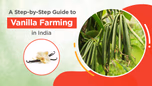 A Step-by-Step Guide to Vanilla Farming in India Article