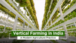 Growing Crops through Vertical Farming: A Modern Agriculture Practice Article