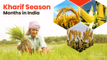 Kharif Season Months in India: Importance, Crop Grown and Contributing Factors Article