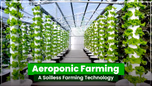 Aeroponic Farming: A Soilless Farming Technology Article Aeroponic Farming: A Soilless Farming Technology Article