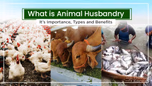 What is Animal Husbandry: Its Importance, Types and Benefits Article