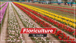 Floriculture in India: A Sunrise Industry with Immense Profit Potential Article