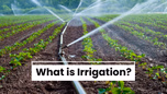 What is Irrigation: Meaning, Techniques and Benefits Article What is Irrigation: Meaning, Techniques and Benefits Article