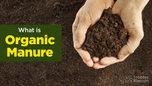 What is Organic Manure: Meaning, Types and Importance in India Article What is Organic Manure: Meaning, Types and Importance in India Article