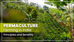 What is Permaculture Farming: Its Principles, Benefits and Popular Practices Article What is Permaculture Farming: Its Principles, Benefits and Popular Practices Article