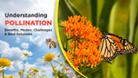 Understanding Pollination: Benefits, Modes, Challenges & Best Solutions Article Understanding Pollination: Benefits, Modes, Challenges & Best Solutions Article