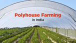 Discovering the World of Polyhouse Farming Article Discovering the World of Polyhouse Farming Article
