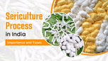 Sericulture Process in India: Importance and Types Article