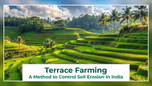 Terrace Farming in India: Cultivating a Sustainable Future Article
