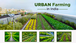 Urban Farming in India – Types and Advantages Article Urban Farming in India – Types and Advantages Article