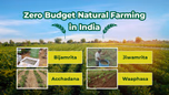 What is Zero Budget Natural Farming? Principles, Components and Government Support Article What is Zero Budget Natural Farming? Principles, Components and Government Support Article