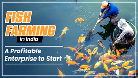 Fish Farming in India: A Profitable Enterprise to Start
