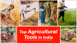 Top Agricultural Tools in India for Your Farming Needs Top Agricultural Tools in India for Your Farming Needs