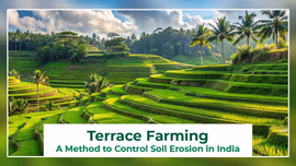 Terrace Farming in India: Cultivating a Sustainable Future Terrace Farming in India: Cultivating a Sustainable Future