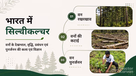 सिल्वीकल्चर (वन संवर्धन) क्या है? जानें इसके प्रकार, महत्व एवं उद्देश्य