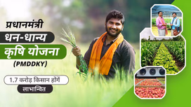 प्रधानमंत्री धन-धान्य कृषि योजना (PM DDKY): कृषि की उन्नति के लिए एक महत्वाकांक्षी पहल