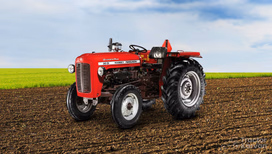 Massey Ferguson 30 DI Orchard Plus Tractor