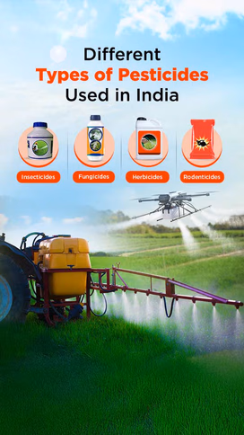 Different Types of Pesticides Used in India: Protecting Crops, Ensuring Yields Video