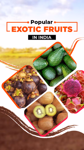 Exotic Fruit Cultivation in India: Top Picks for Profitable Farming Video