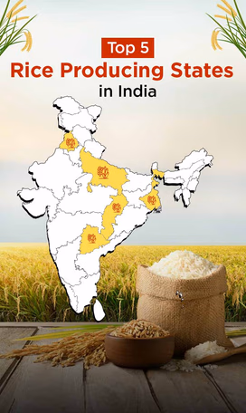 List of Top 5 Rice Producing States Video