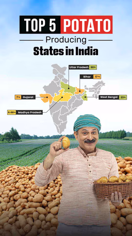 List of Top 5 Potato Producing States in India Video