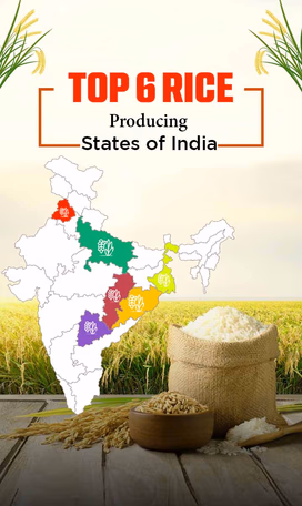 List of Top 6 Rice Producing States Video