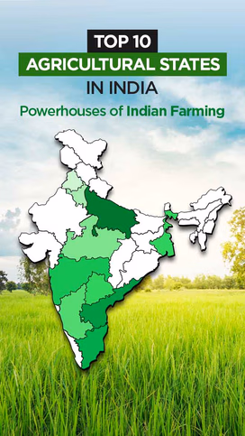 Top 10 Agricultural States in India: Powerhouses of Indian Farming Video