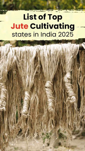 List of top Jute Cultivating states in India 2025 Video