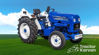 Force Orchard DLX LT