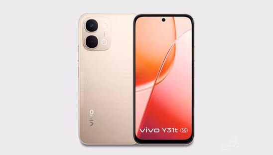 Y31t