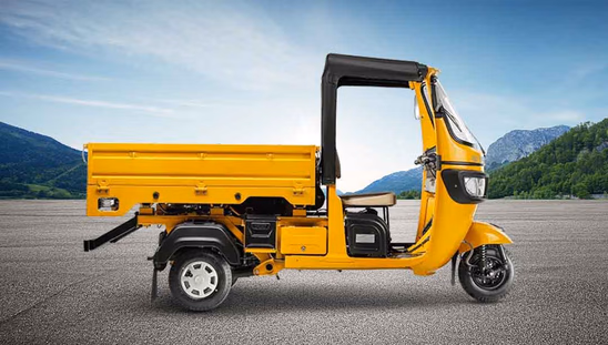 Tvs King Kargo ZK FI PF-4S CNG - PF Right