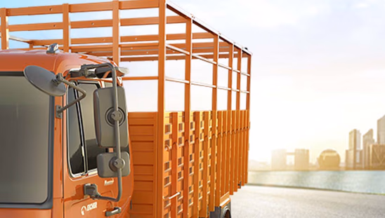 Eicher Pro 3019 - Body