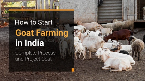 how-to-start-dairy-farm-business-in-india-2023