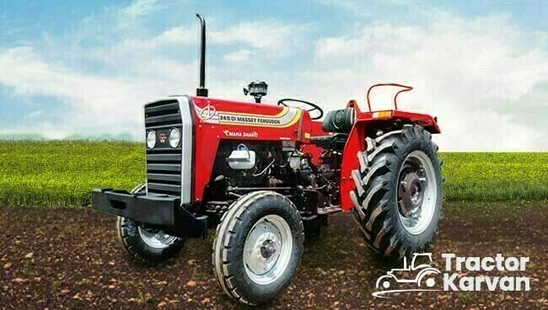 Massey Ferguson 245 DI 50 HP Tractor in Farm