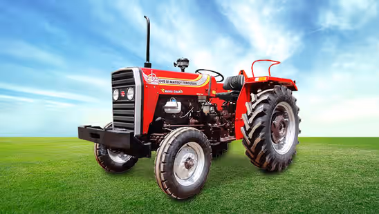 Massey Ferguson 245 DI 50 HP Tractor in Farm