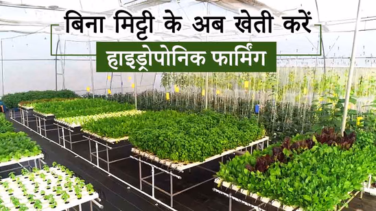 खेत नहीं है फिर भी आप कर सकते हैं खेती, जानें क्या है ये नई तकनीक