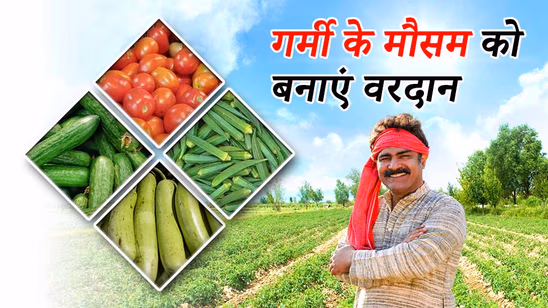 गर्मी का मौसम साबित होगा वरदान, अगर करेंगे आप ये काम गर्मी का मौसम साबित होगा वरदान, अगर करेंगे आप ये काम