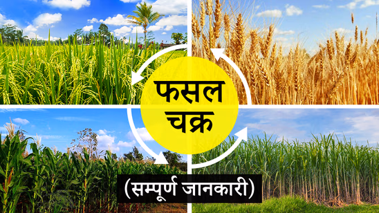 फसल चक्र क्या है? जानें सॉइल हेल्थ के लिए क्यों है ये जरुरी Article